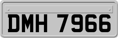 DMH7966