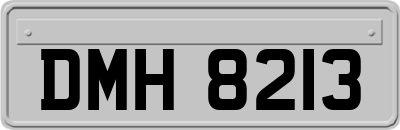 DMH8213