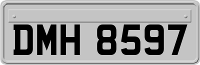 DMH8597