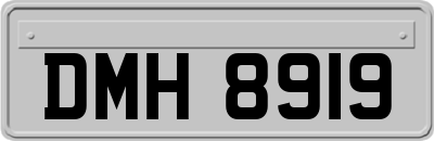 DMH8919