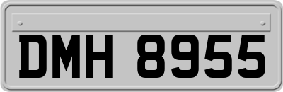 DMH8955