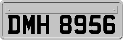 DMH8956
