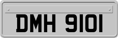 DMH9101