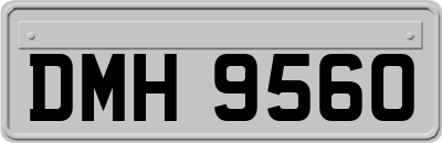 DMH9560