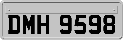 DMH9598