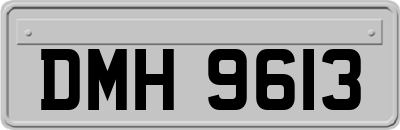 DMH9613