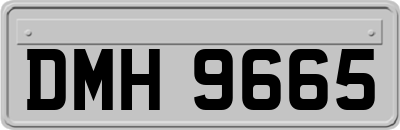 DMH9665