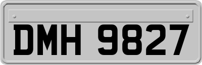 DMH9827