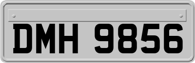 DMH9856