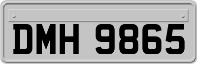DMH9865