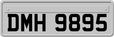 DMH9895