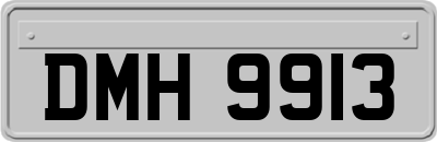 DMH9913