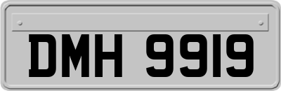 DMH9919
