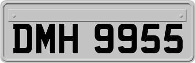 DMH9955