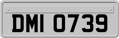 DMI0739
