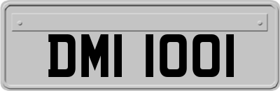 DMI1001