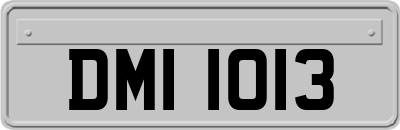 DMI1013