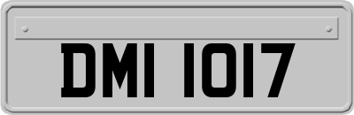 DMI1017