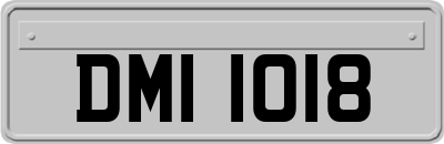 DMI1018