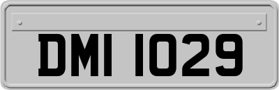 DMI1029