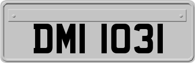 DMI1031
