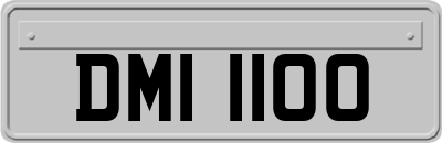 DMI1100