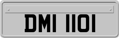 DMI1101