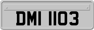 DMI1103