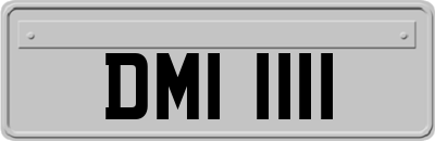 DMI1111