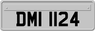 DMI1124