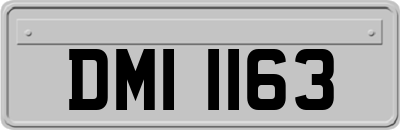 DMI1163
