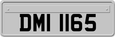 DMI1165
