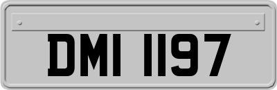 DMI1197