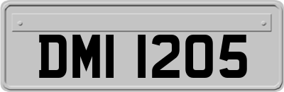 DMI1205