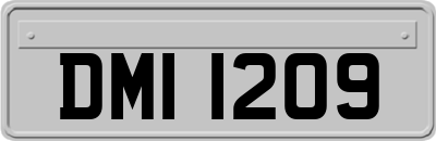 DMI1209