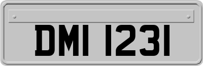 DMI1231