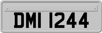 DMI1244