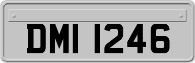 DMI1246