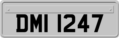 DMI1247