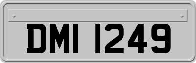 DMI1249