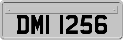 DMI1256
