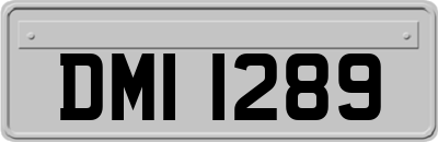 DMI1289