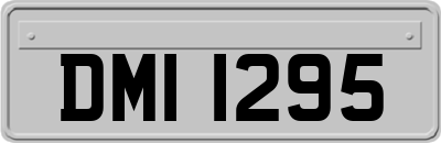 DMI1295