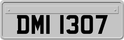 DMI1307