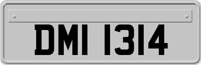 DMI1314