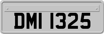 DMI1325