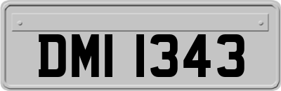 DMI1343