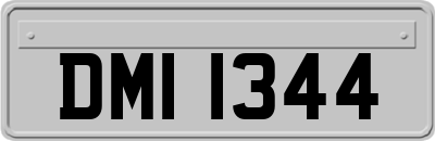 DMI1344