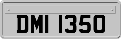 DMI1350