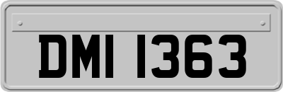 DMI1363
